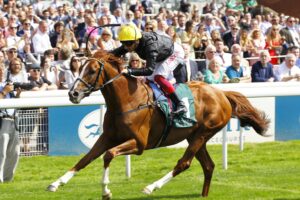 16B8183 Stradivarius