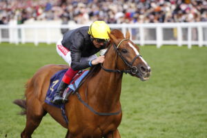 16B8347 Stradivarius