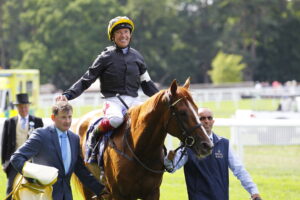 16B8357 Stradivarius