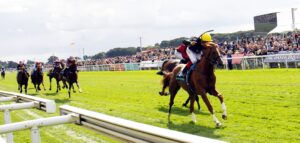 16B8901 Stradivarius