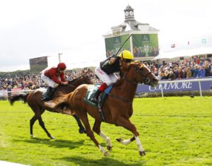 16B8904 Stradivarius