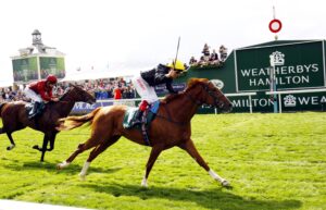 16B8906 Stradivarius