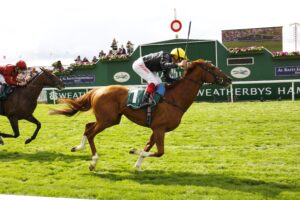 16B8907 Stradivarius