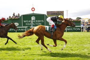 16B8908 Stradivarius