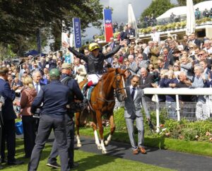 16B8912 Stradivarius