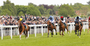 20J0179 Stradivarius