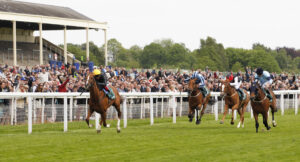 20J0182 Stradivarius