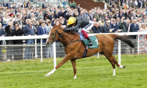 20J0190 Stradivarius