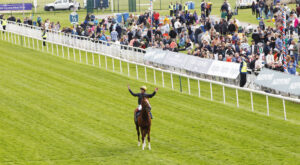 20J0217 Stradivarius