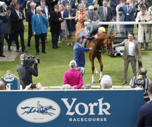 20J0229 Stradivarius