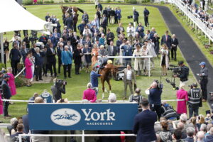 20J0230 Stradivarius