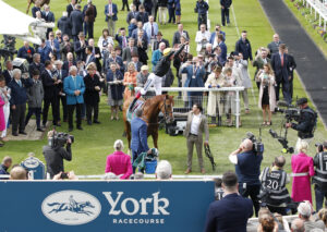 20J0231 Stradivarius