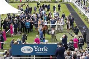 20J0232 Stradivarius