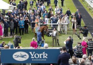 20J0233 Stradivarius