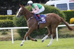 20J0311 Loup De Lilas