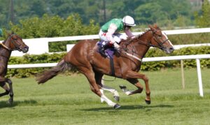 20J0363 Loup De Lilas