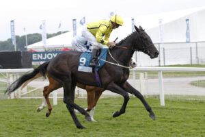 20J1298 Align The Stars