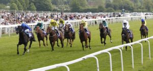 20J1484 Devoted Queen