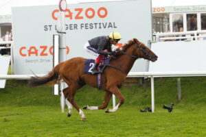 20J1782 Stradivarius