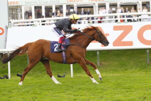 20J1784 Stradivarius