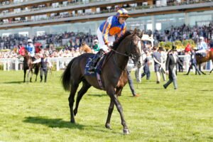 20J3458 Auguste Rodin