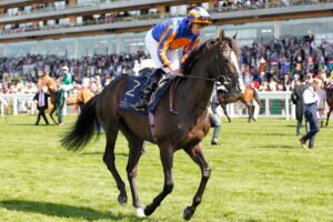 20J3461 Auguste Rodin