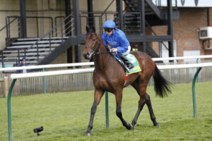 20J3979 First Conquest