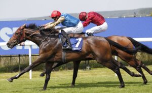 20J6539 French Duke