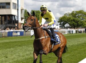 20J7399 Liberty Lane