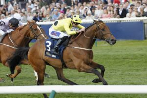 20J7427 Liberty Lane