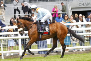 78F1270 The Strikin Viking