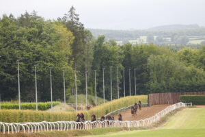 78F1788 Ballydoyle Gallops