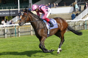 78F6849 Sweet Memories