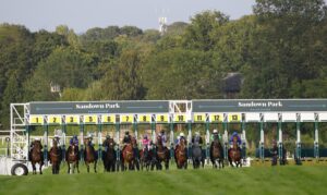 78F8080 Sandown stalls