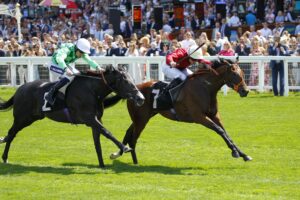 78F8269 Our Terms