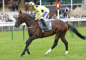 78F8822 Elite Status