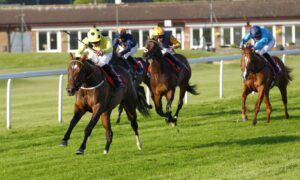 78F9803 Elite Status