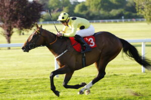 78F9817 Elite Status