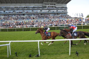 96E0048 Stradivarius