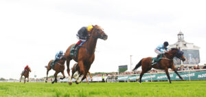 B96E0043 Stradivarius