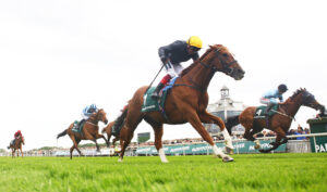 B96E0045 Stradivarius