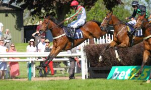 D20J1868 Francky Du Berlais