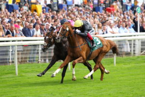 D20J7157 Stradivarius