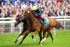 D20J7161 Stradivarius