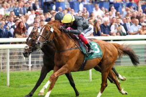 D20J7162 Stradivarius