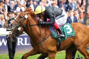 D20J7169 Stradivarius