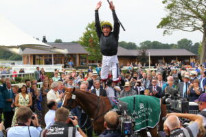 D20J7205 Stradivarius