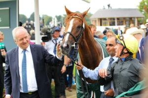 D20J7216 Stradivarius