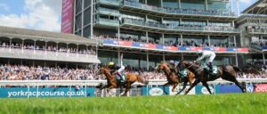 DSC 1626 Stradivarius