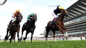 DSC 2399 Stradivarius